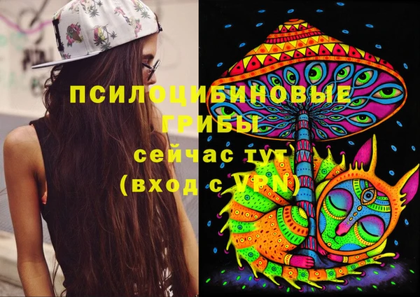 spice Армянск