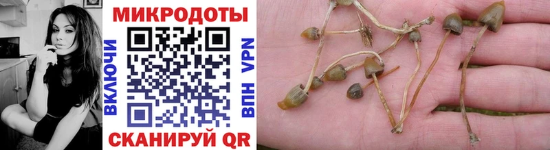 Купить где  Коммунар  Псилоцибиновые грибы прущие грибы 